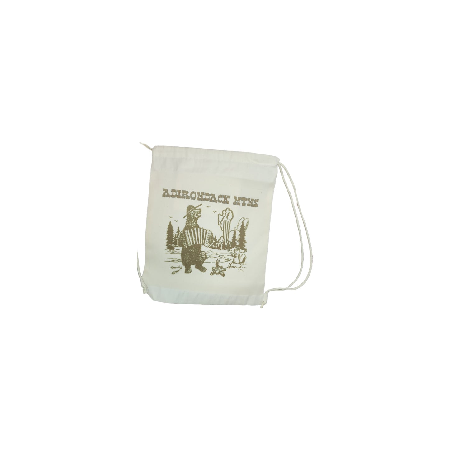 Adirondack Mtns bag